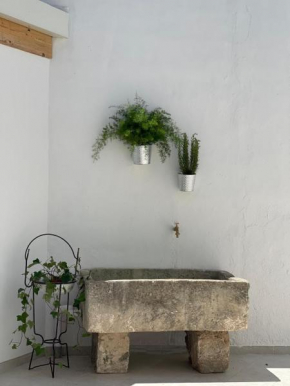 Cortile Carducci